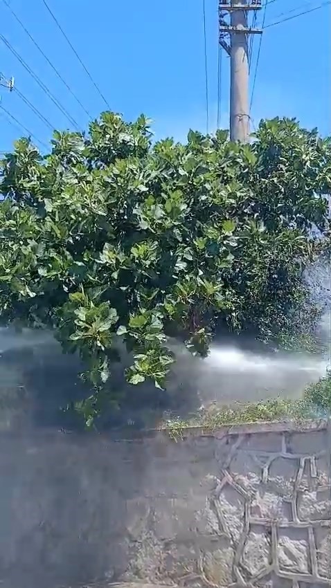 Y&uuml;ksek gerilim hattına konan karga yangın &ccedil;ıkardı
