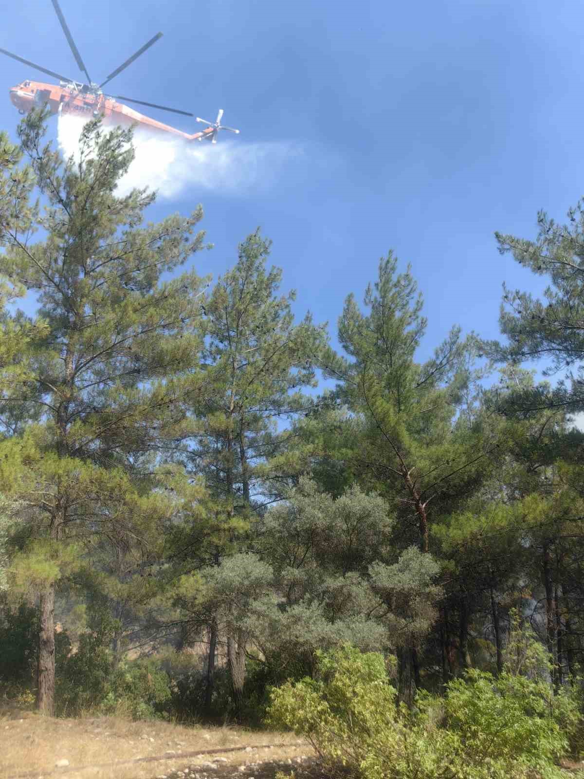 Muğla&rsquo;daki orman yangını kontrol altına alındı
