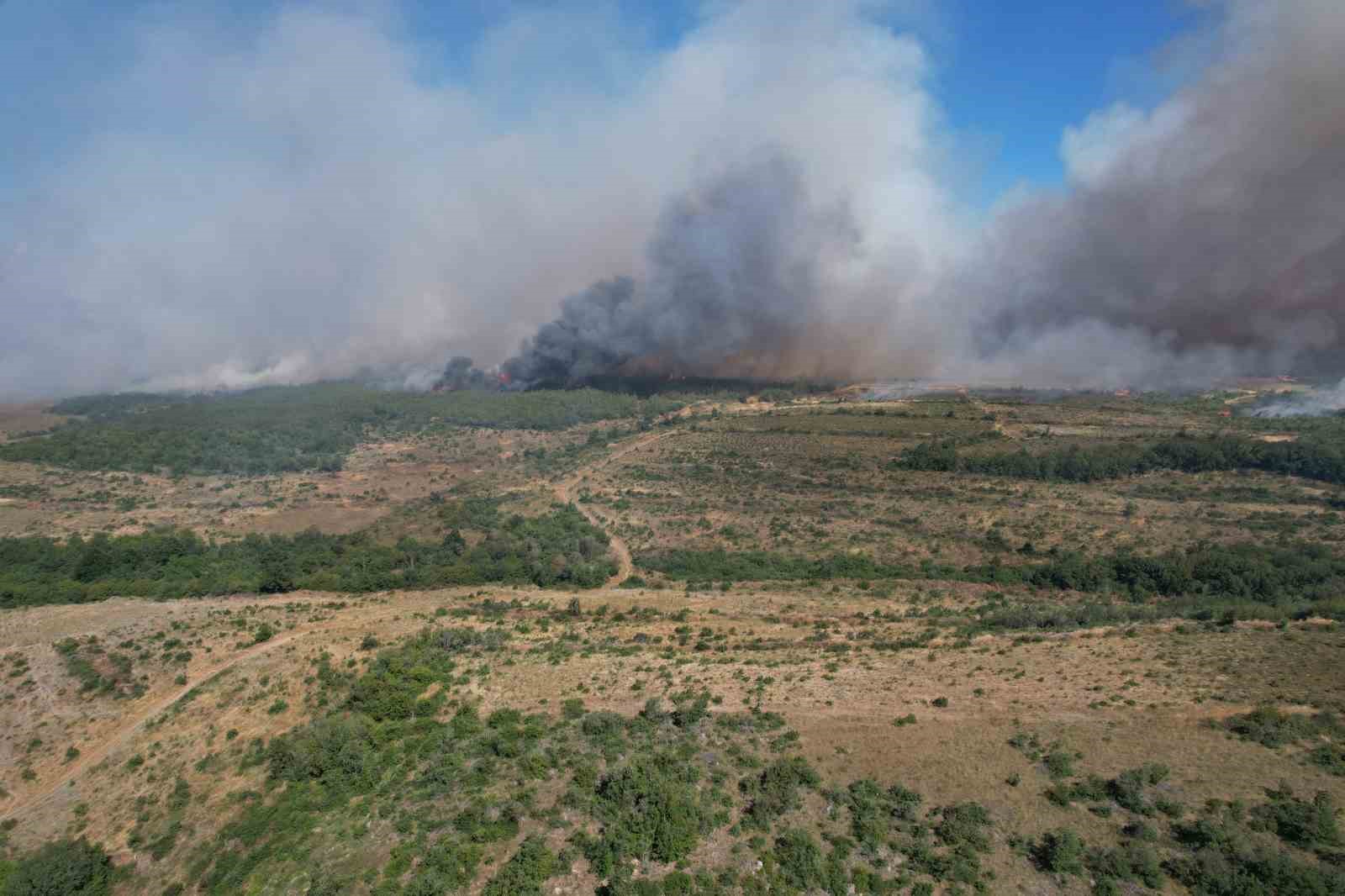 Silivri’de tarım alanlarındaki yangın ormana sıçradı