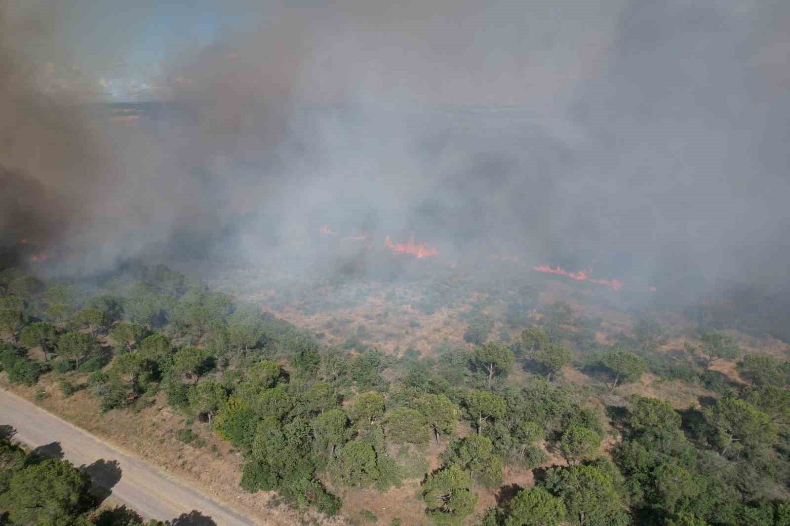 Silivri&rsquo;de tarım alanlarındaki yangın ormana sı&ccedil;radı
