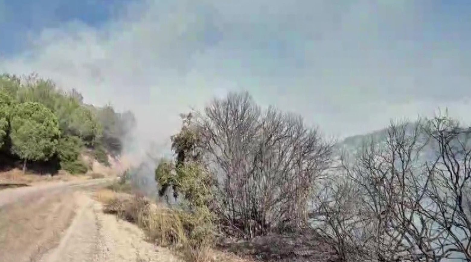 Adana’da orman yangını