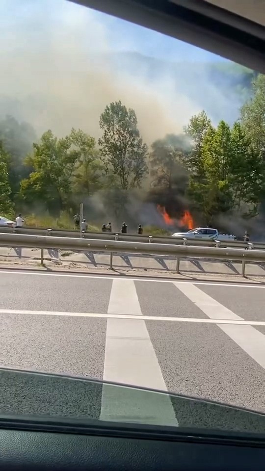 Bursa&rsquo;da ormanlık alanda &ccedil;ıkan yangına m&uuml;dahale s&uuml;r&uuml;yor
