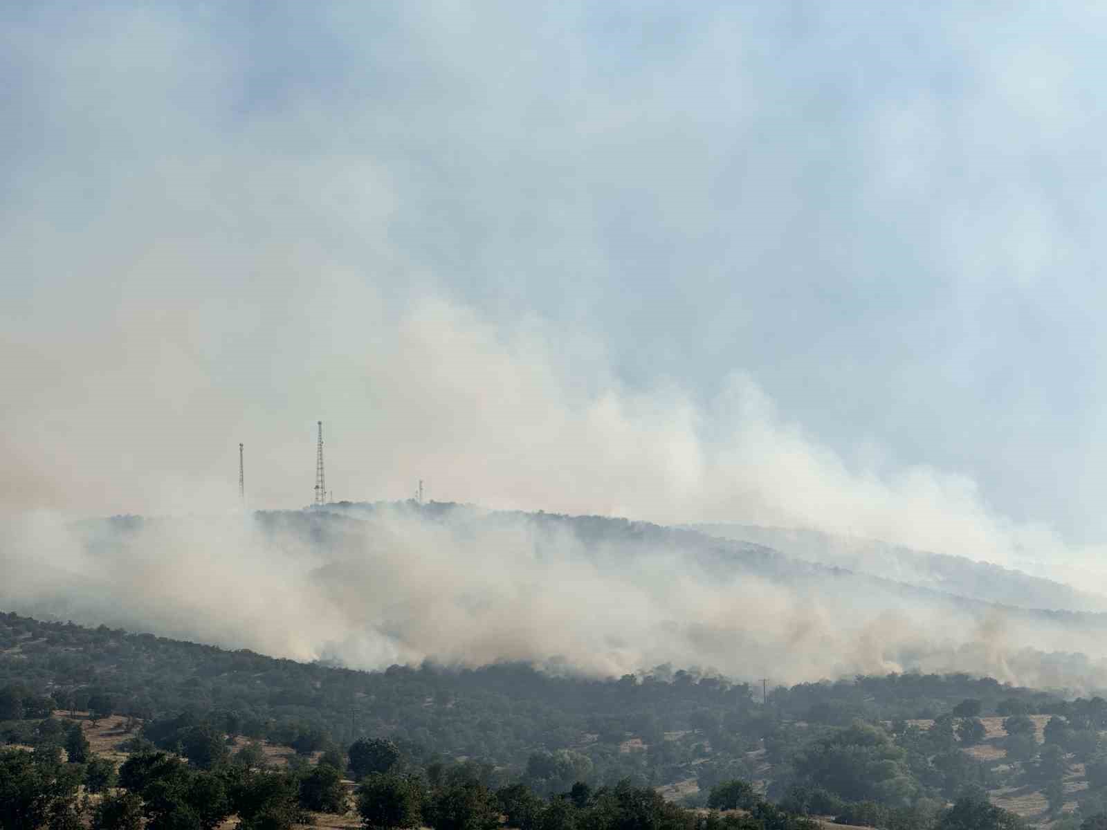 Uşak’ta tarım arazisinde başlayan yangın meşelik alana sıçradı