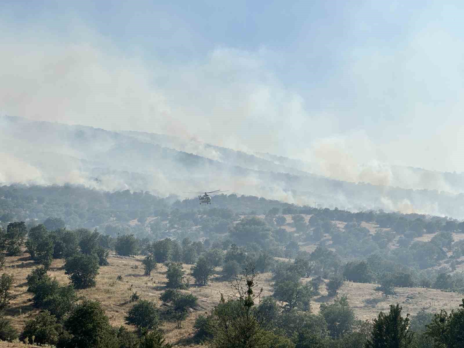 Uşak’ta tarım arazisinde başlayan yangın meşelik alana sıçradı