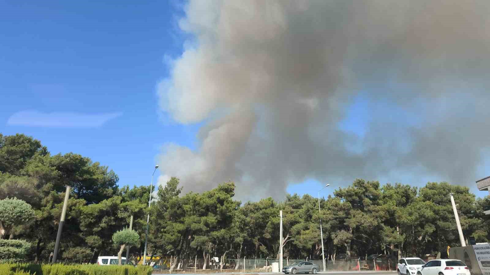 Buca’da orman yangını