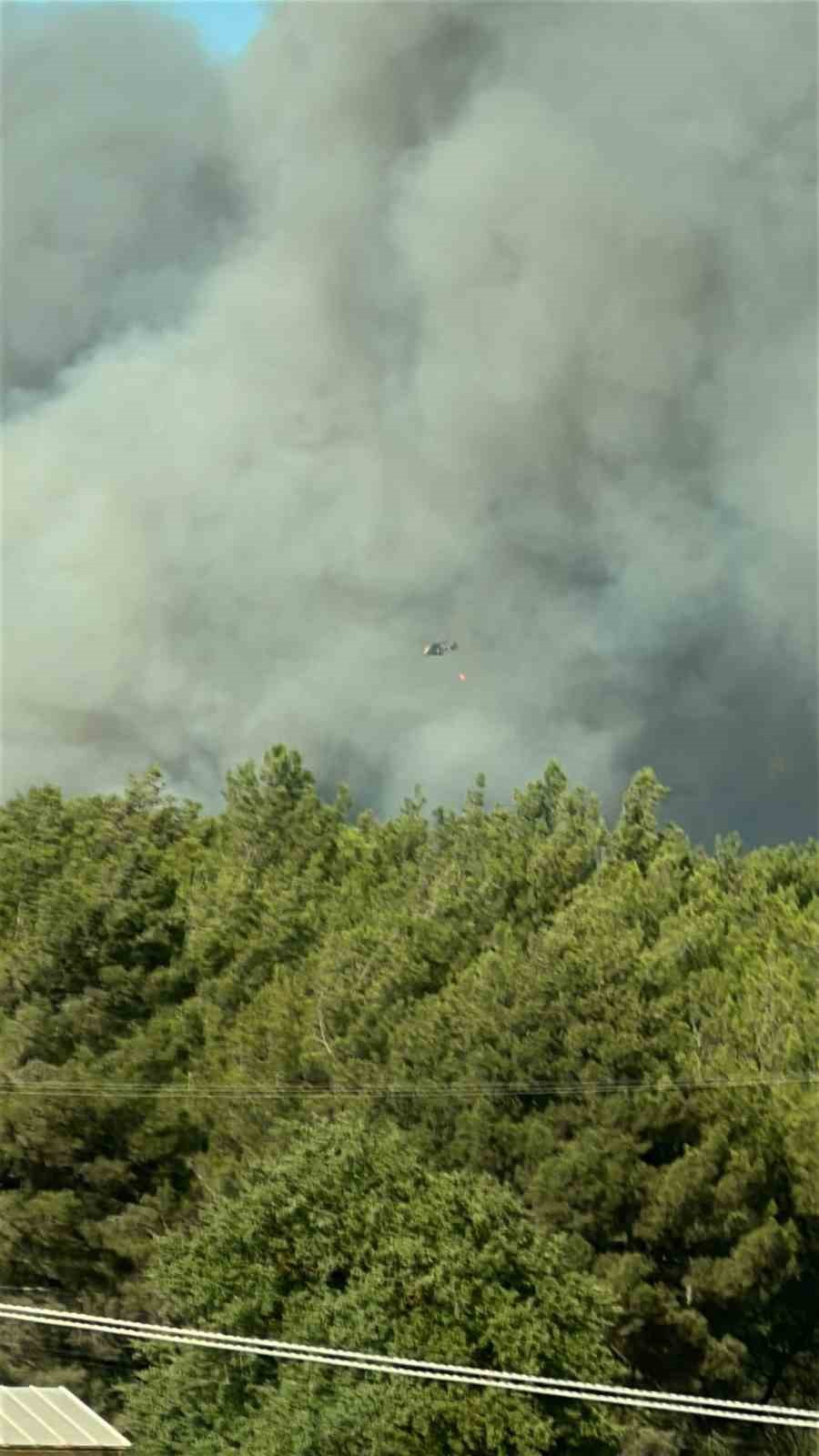 Buca’da orman yangını