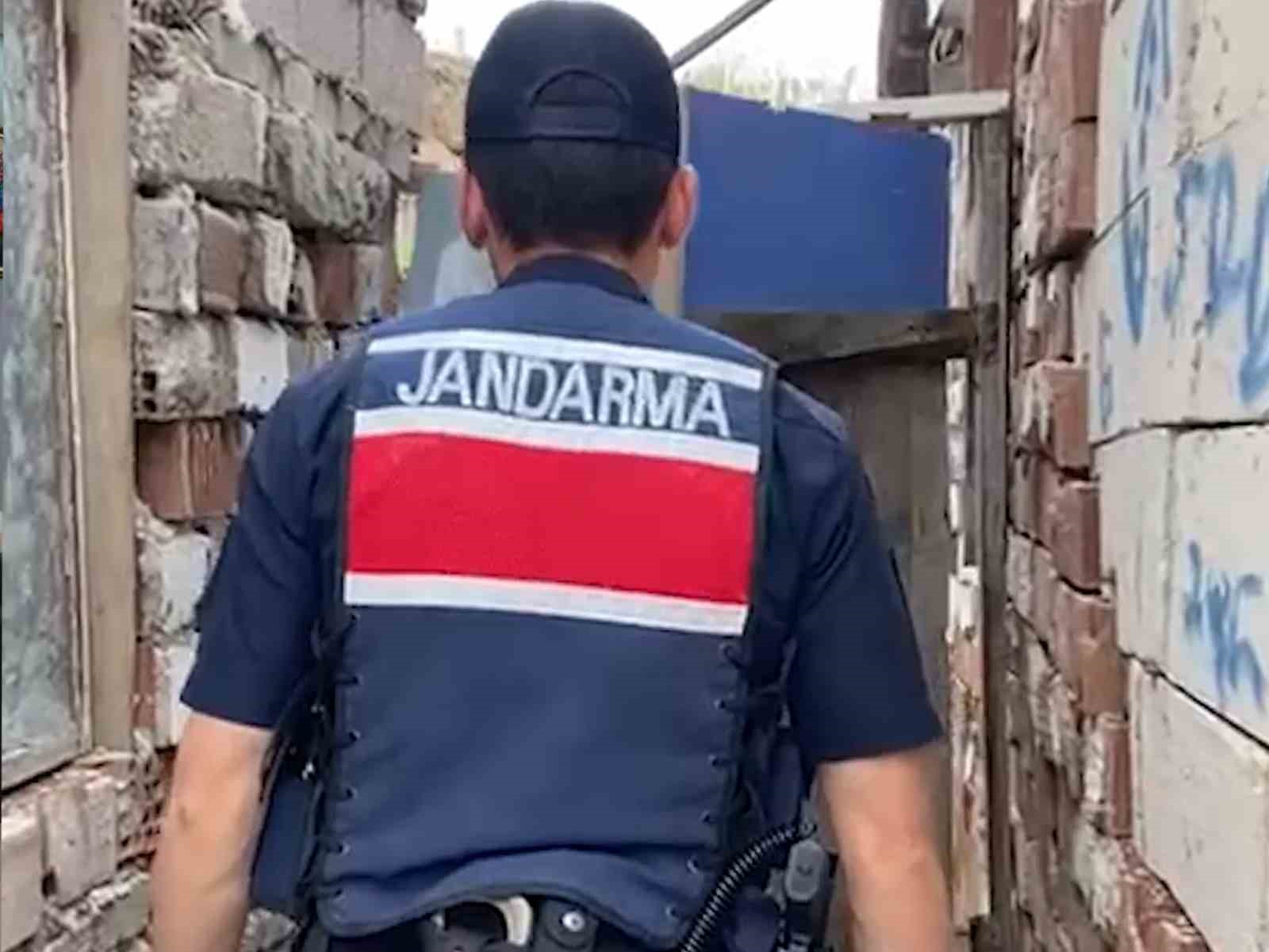 Kırıkkale’de evin bahçesinde bin 53 kök kenevir ele geçirildi: 2 gözaltı