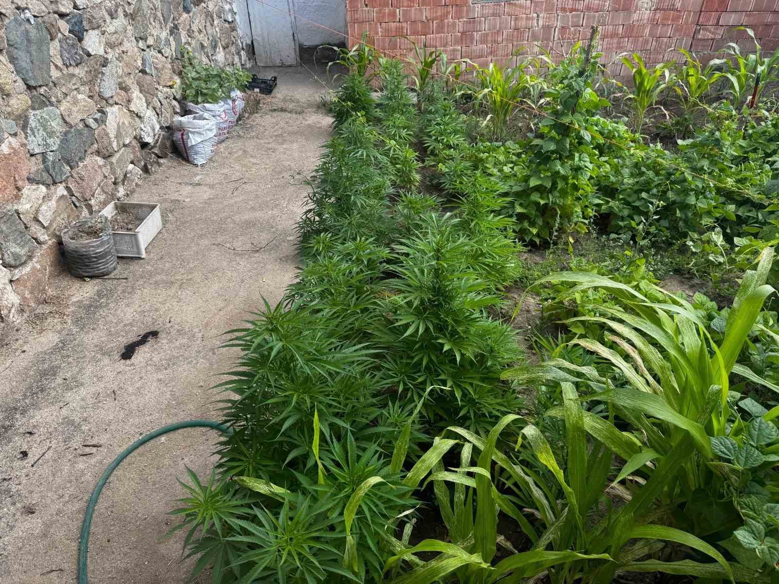 Kırıkkale’de uyuşturucu operasyonu: Aynı aileden 3 şüpheliye gözaltı