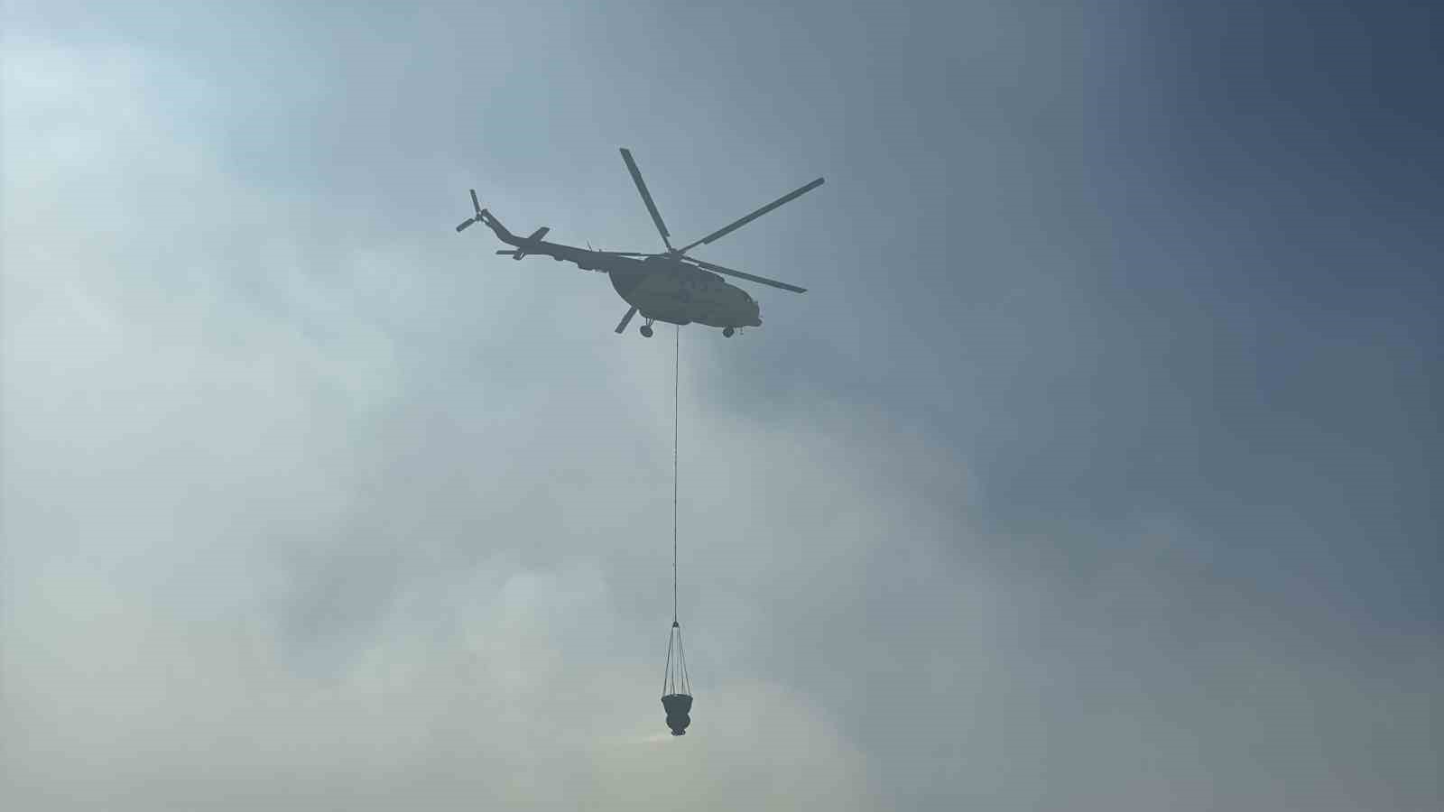 Uşak&rsquo;ta meşelik alana sı&ccedil;rayan yangın kontrol altına alındı
