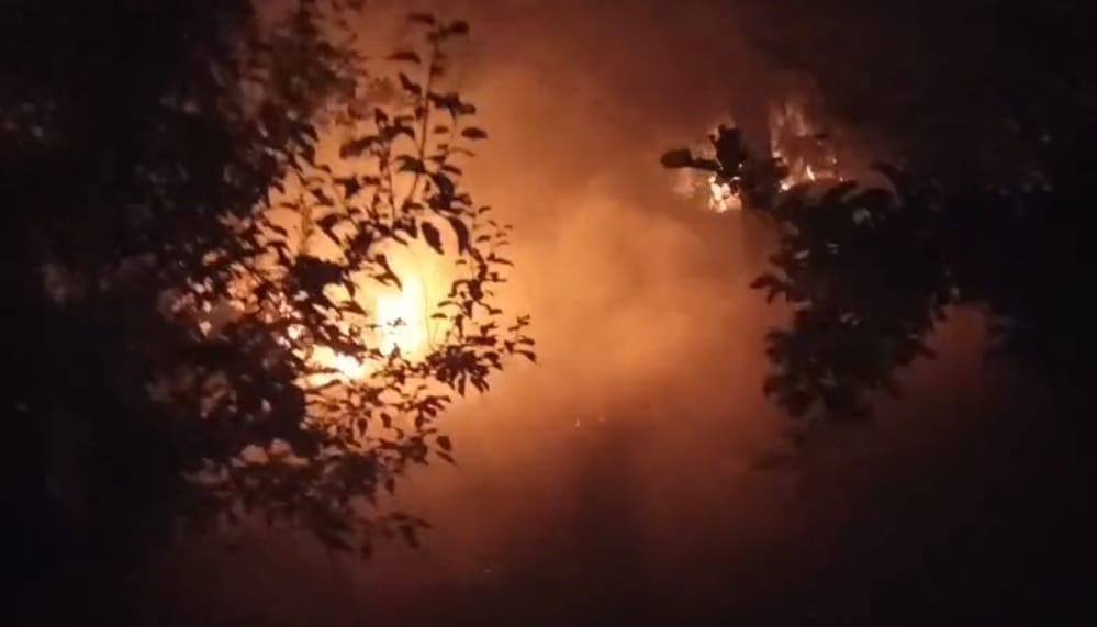 Kozan’da bahçe yangını ormana sıçramadan söndürüldü