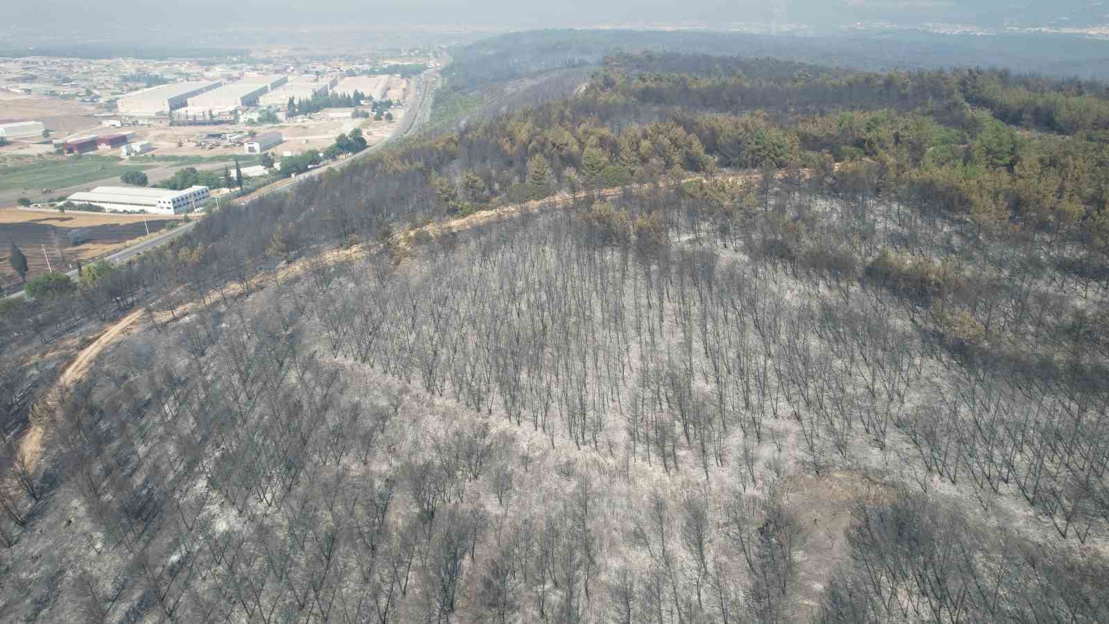 Buca’daki yangının tahribatı havadan görüntülendi