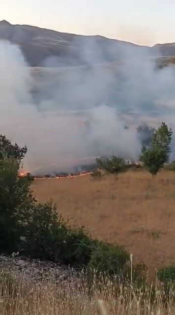 Elazığ’da otluk alanda yangın