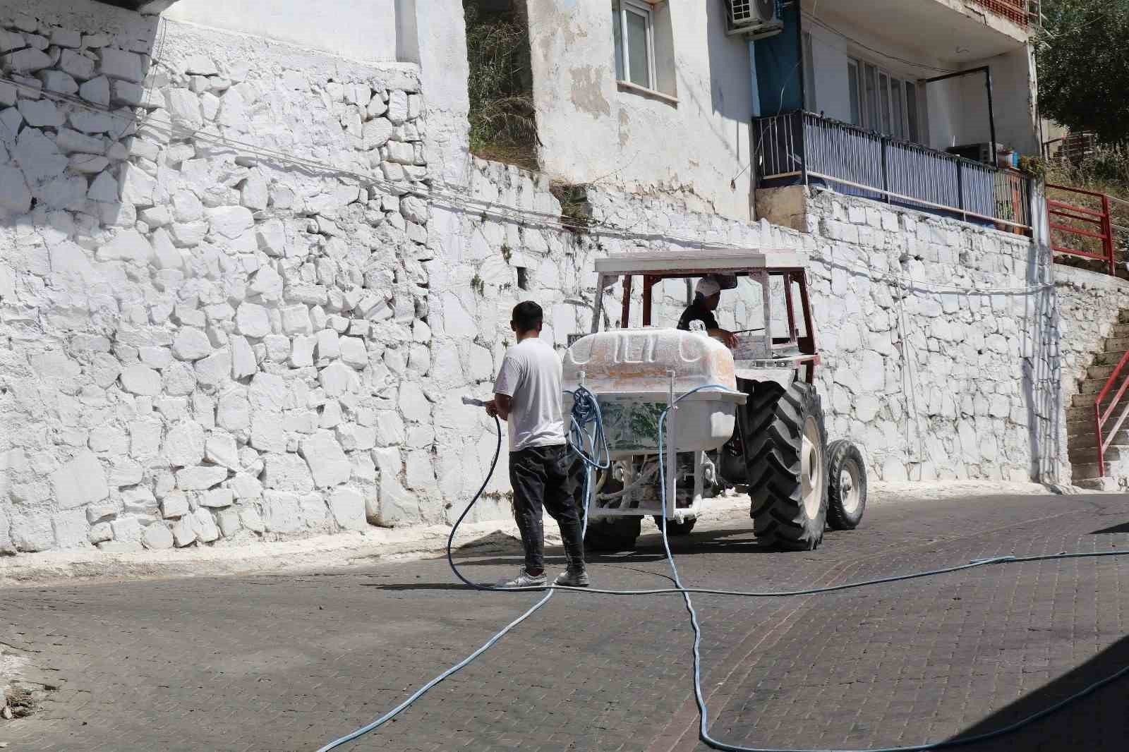 Bozdoğan beyaza boyandı
