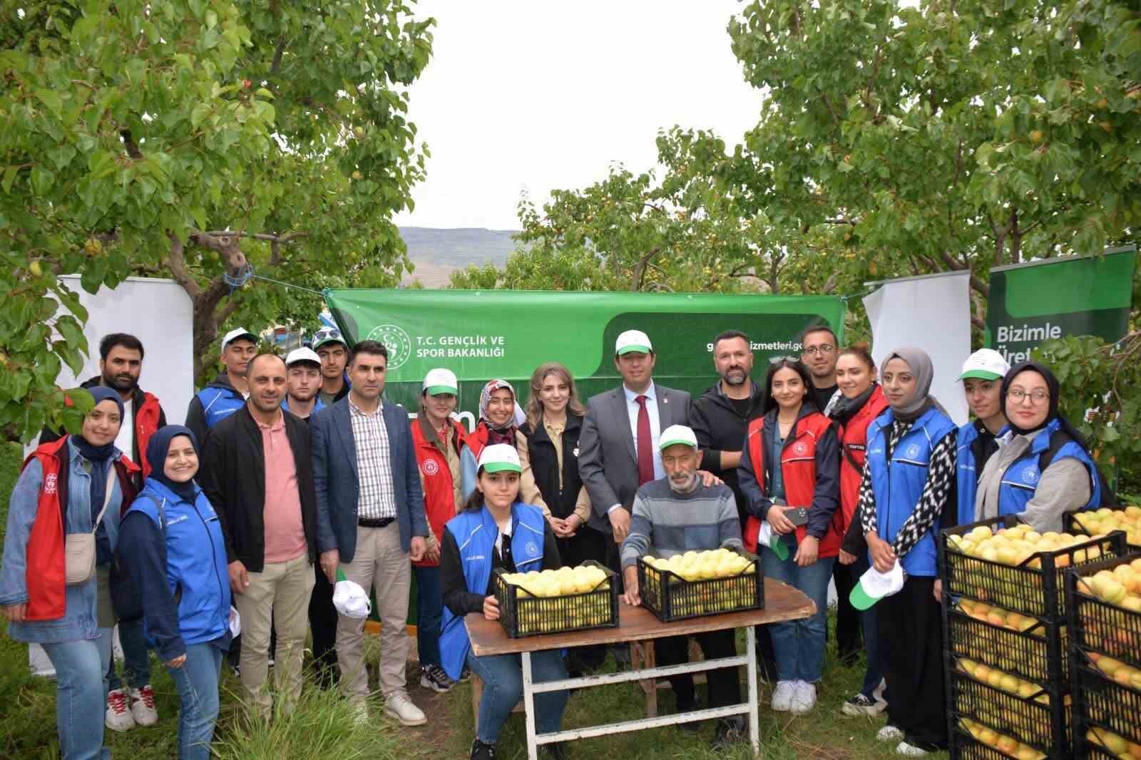 Kağızman’da gençler üretime katılıp geleceğe iz bıraktılar