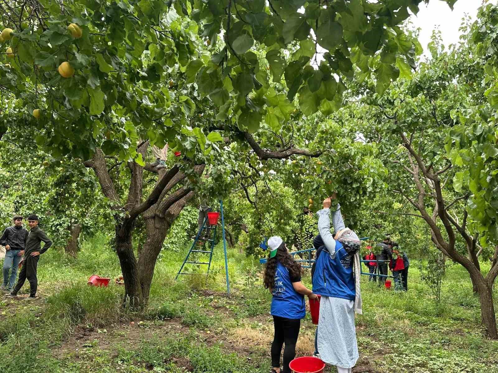 Kağızman&rsquo;da gen&ccedil;ler &uuml;retime katılıp geleceğe iz bıraktılar
