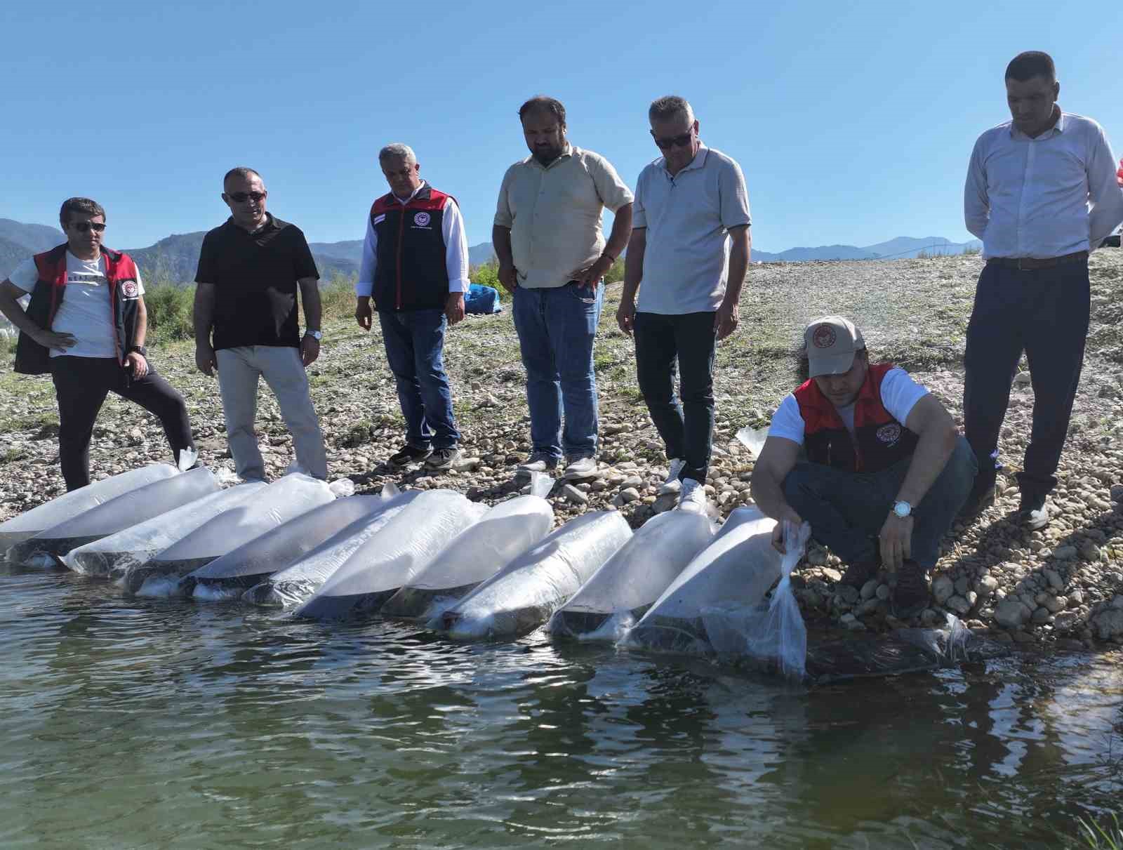 Denizli’de göl ve göletlere 1 milyon sazan yavrusu bırakıldı