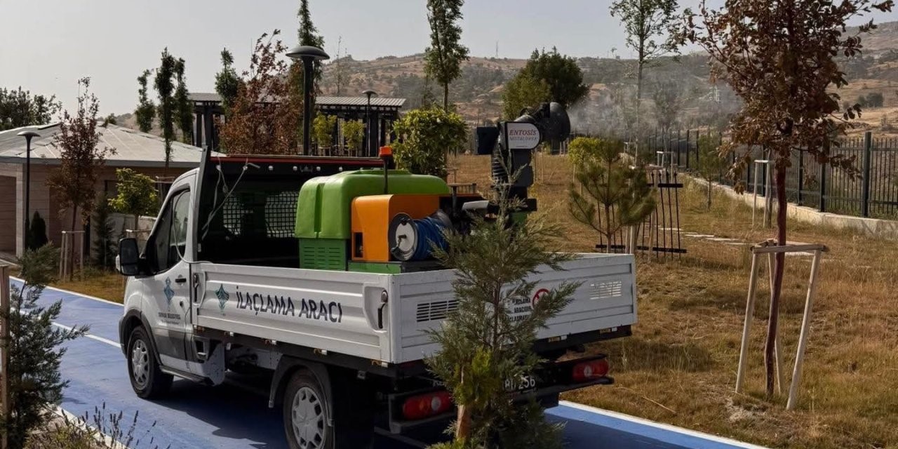 Şırnak Belediyesinden haşerelere karşı ilaçlama