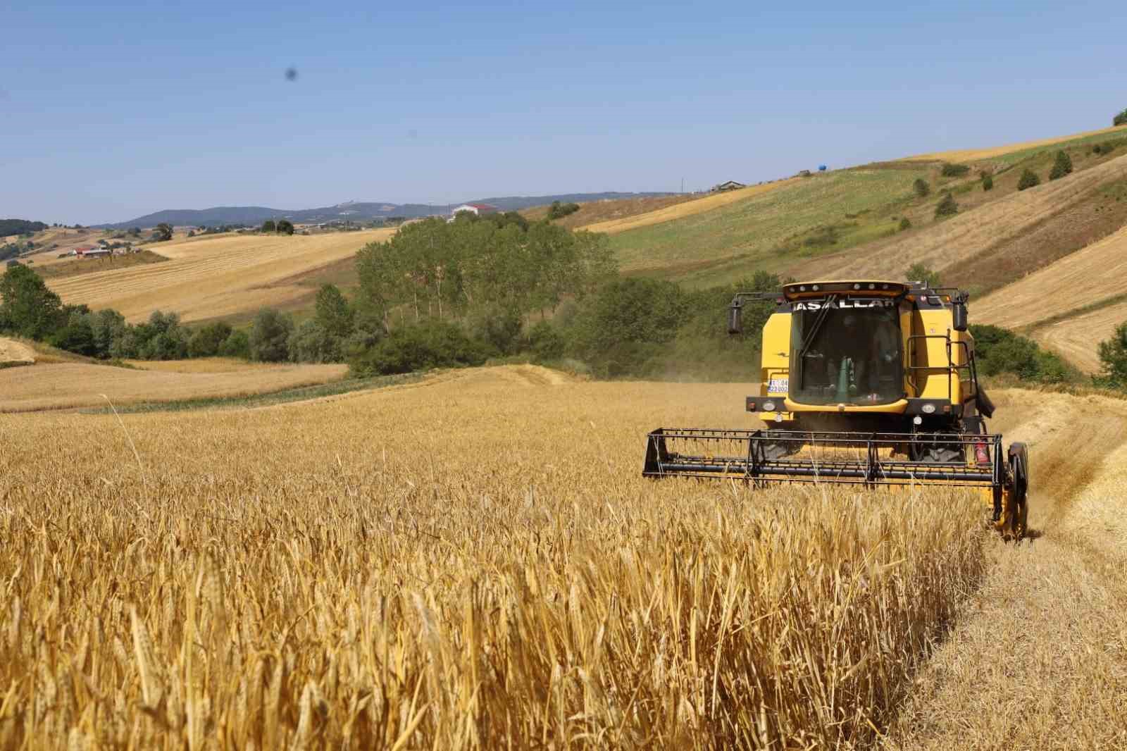 Arpa hasadı bereketli başladı