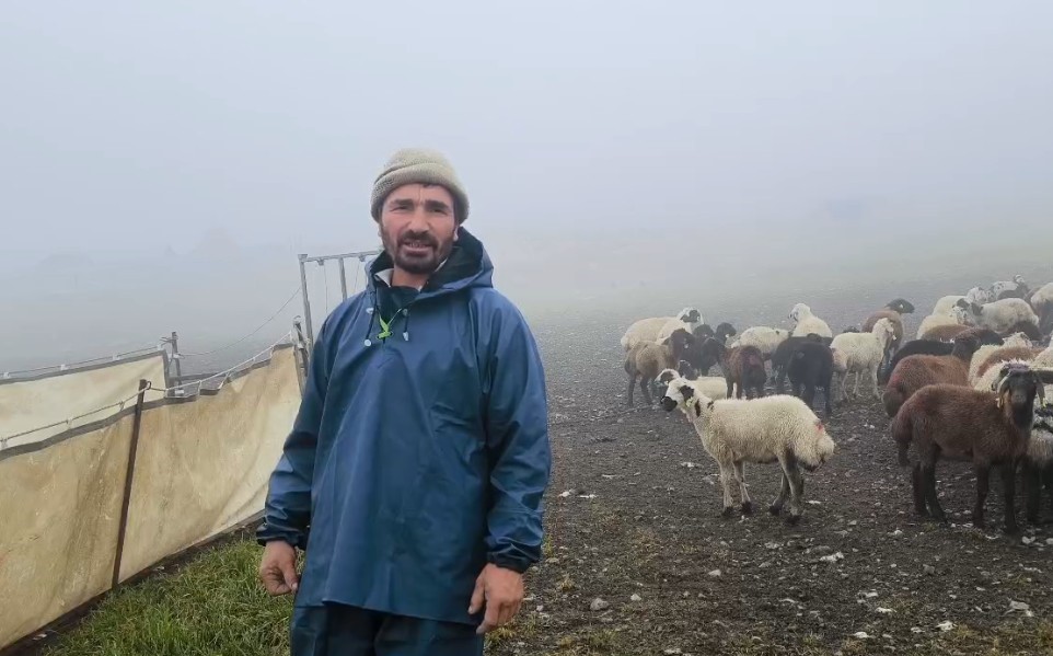 Tuncelili yaylacılar Erzurum&rsquo;da kara yakalandı
