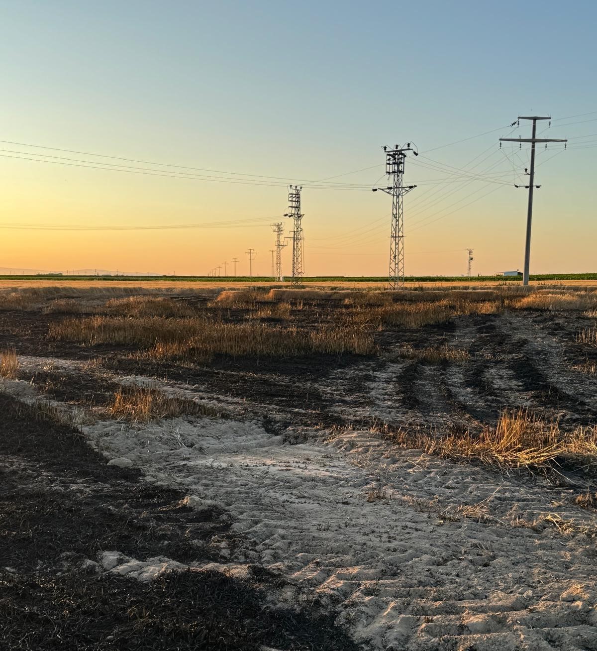 Karapınar’da buğday tarlasında yangın