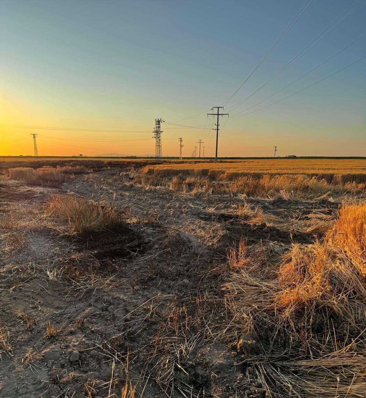 Karapınar&rsquo;da buğday tarlasında yangın
