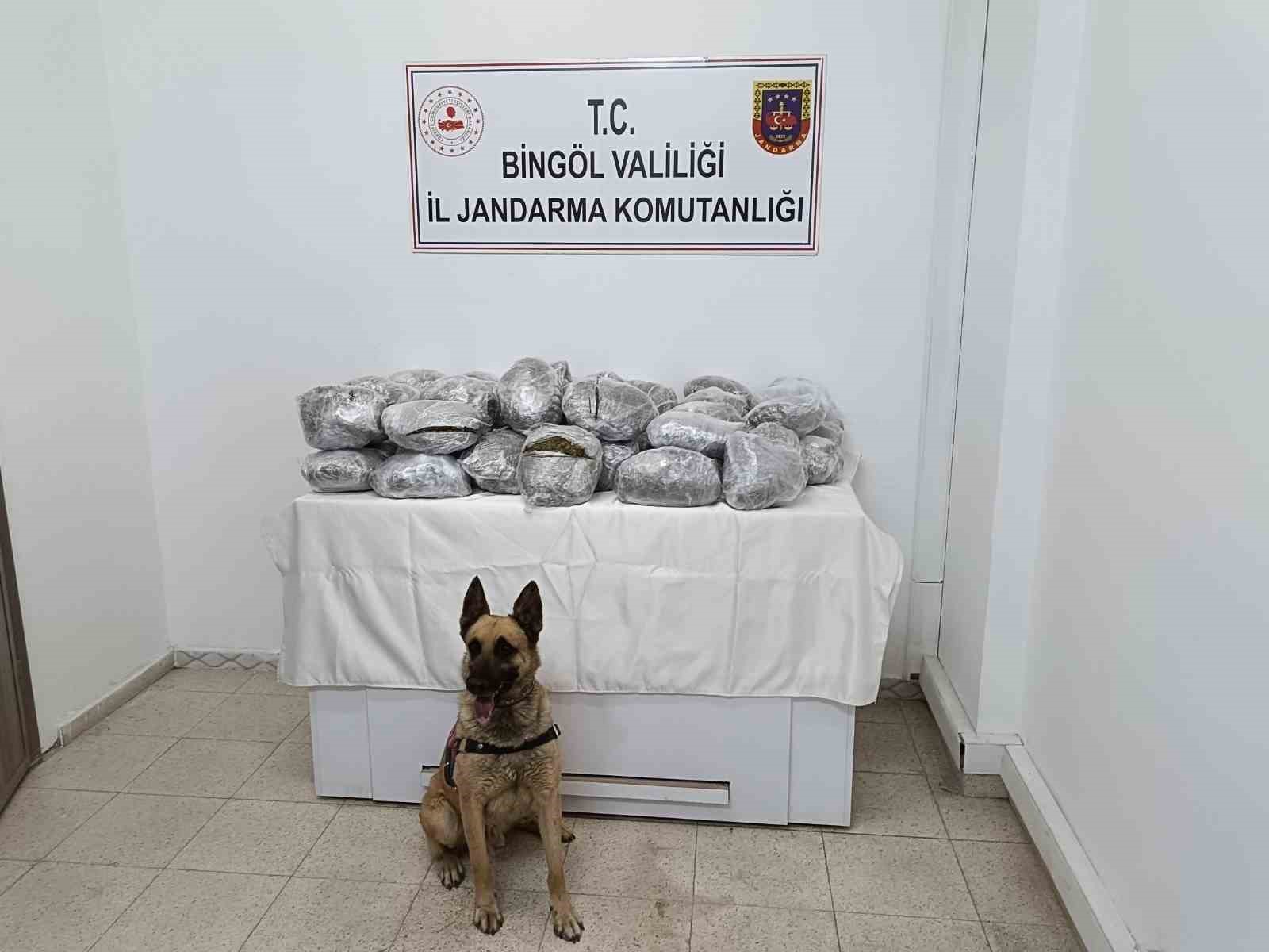 Bingöl’de 49 kilo esrar ele geçirildi