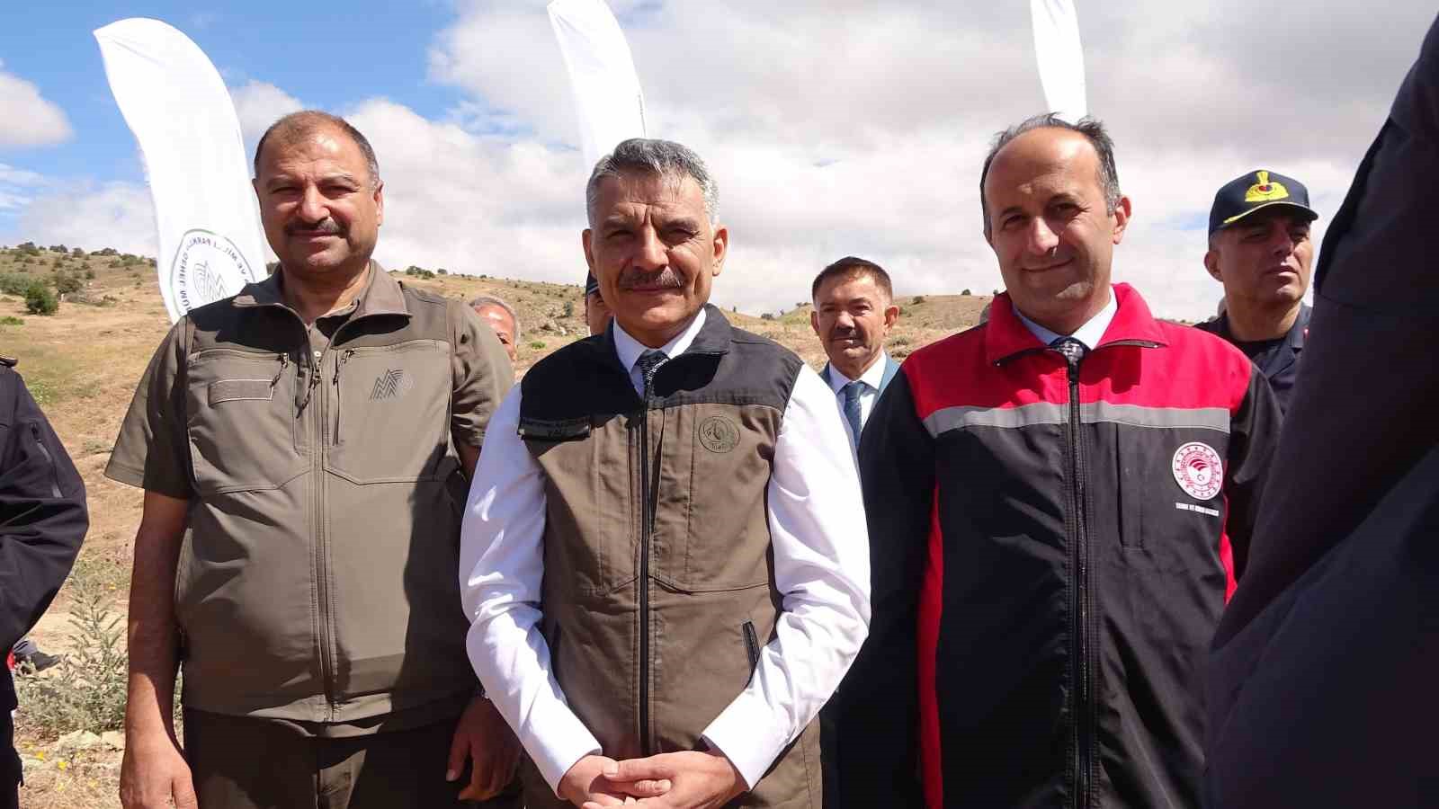Kene savar keklikler doğaya salındı
