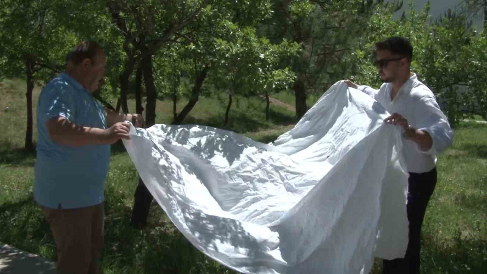 Keneler avını titreşimle buluyor