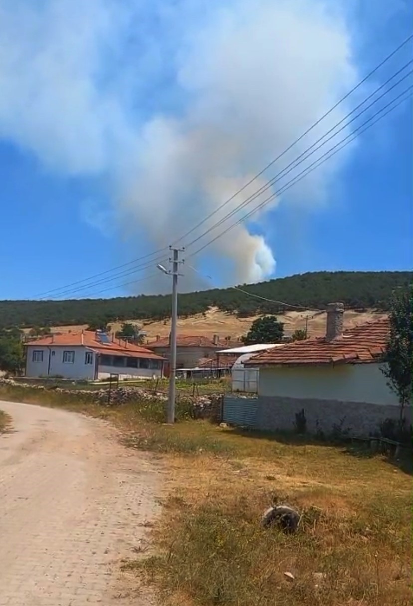 Seyitgazi’de orman yangını