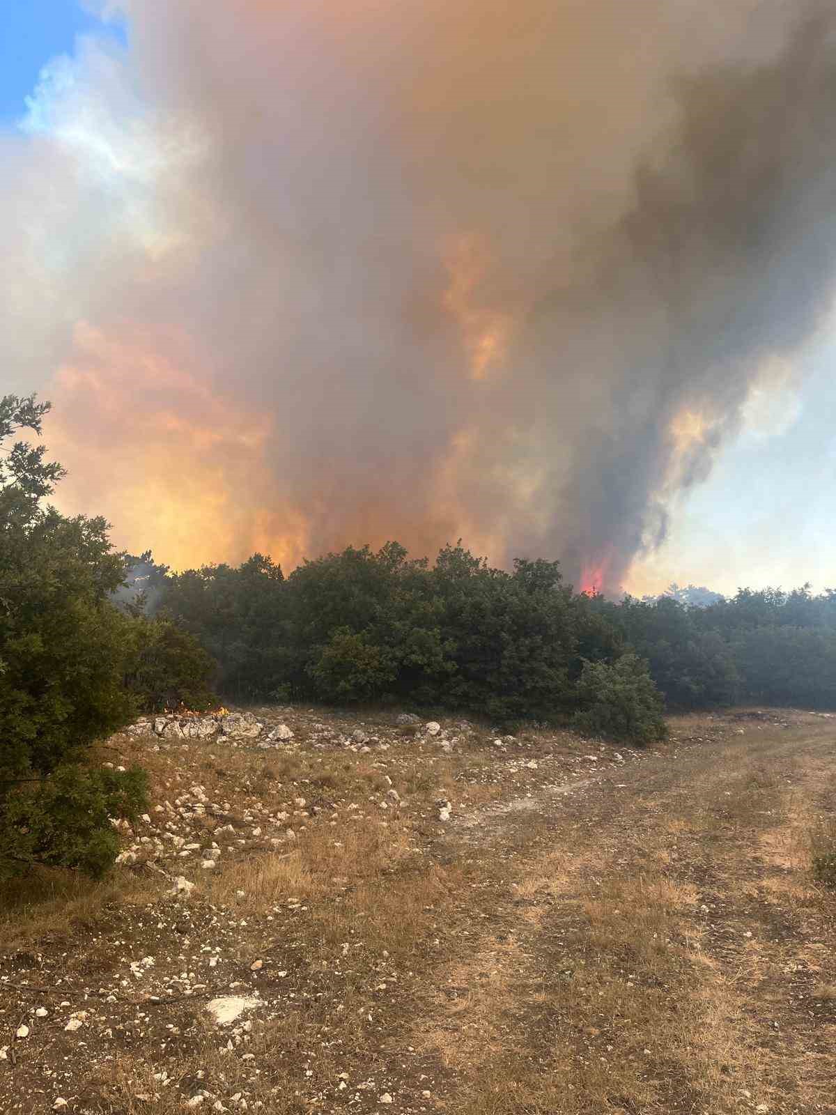 Seyitgazi&rsquo;de orman yangını
