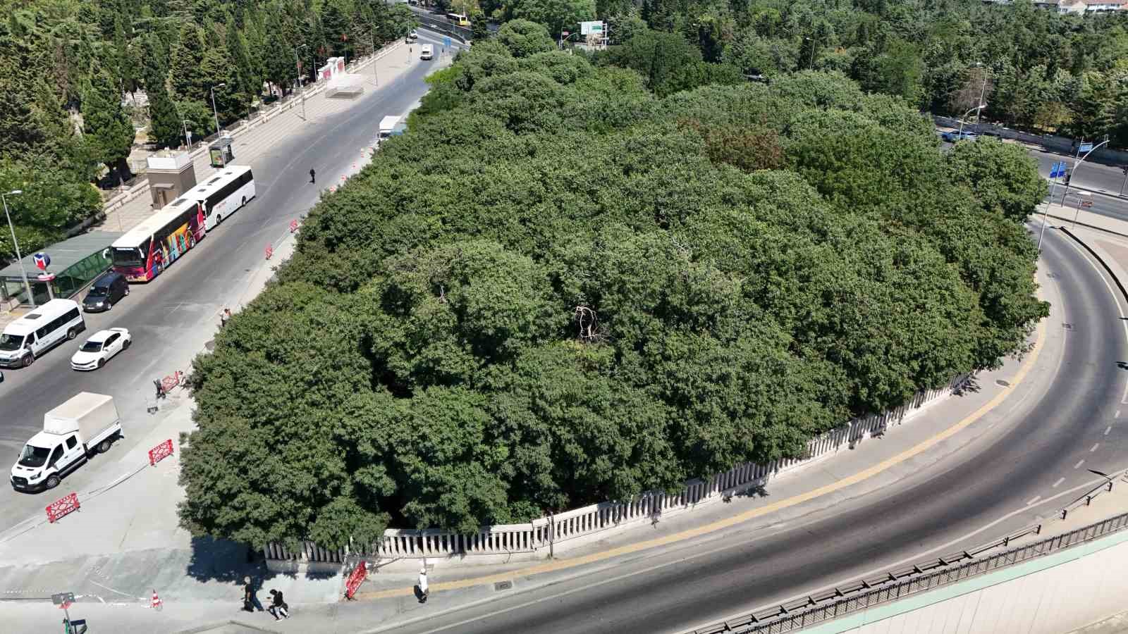 148 sene öncenin Ömer Halis Demir’i: Çerkes Hasan Efendi’nin mezarına büyük vefasızlık