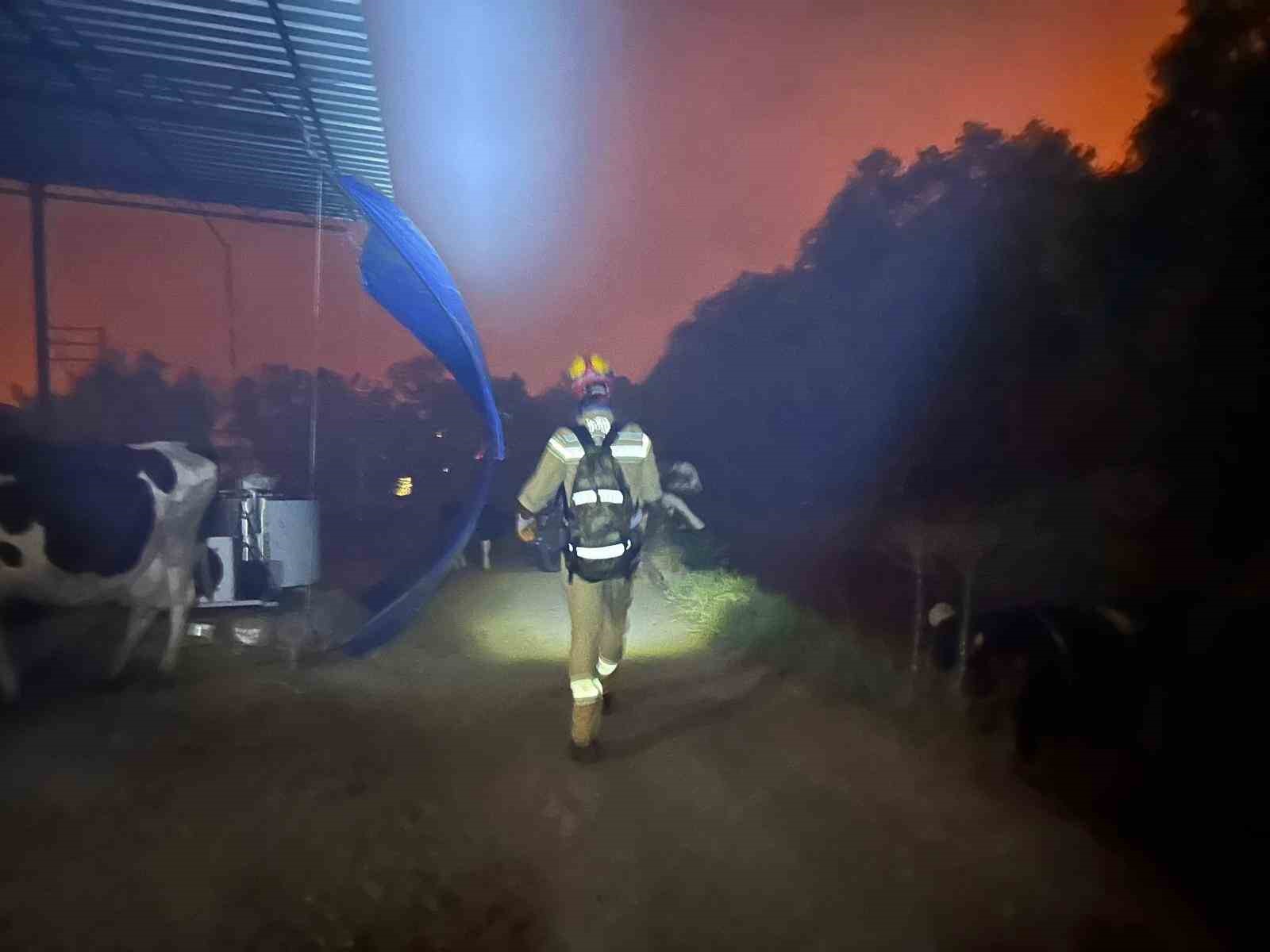 AKUT Kuşadası, İzmir’deki orman yangınlarına müdahale çalışmalarına destek veriyor