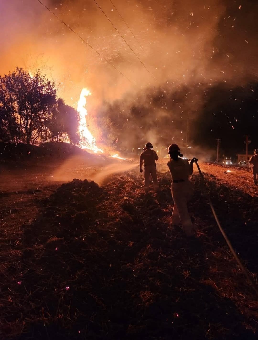 AKUT Kuşadası, İzmir’deki orman yangınlarına müdahale çalışmalarına destek veriyor
