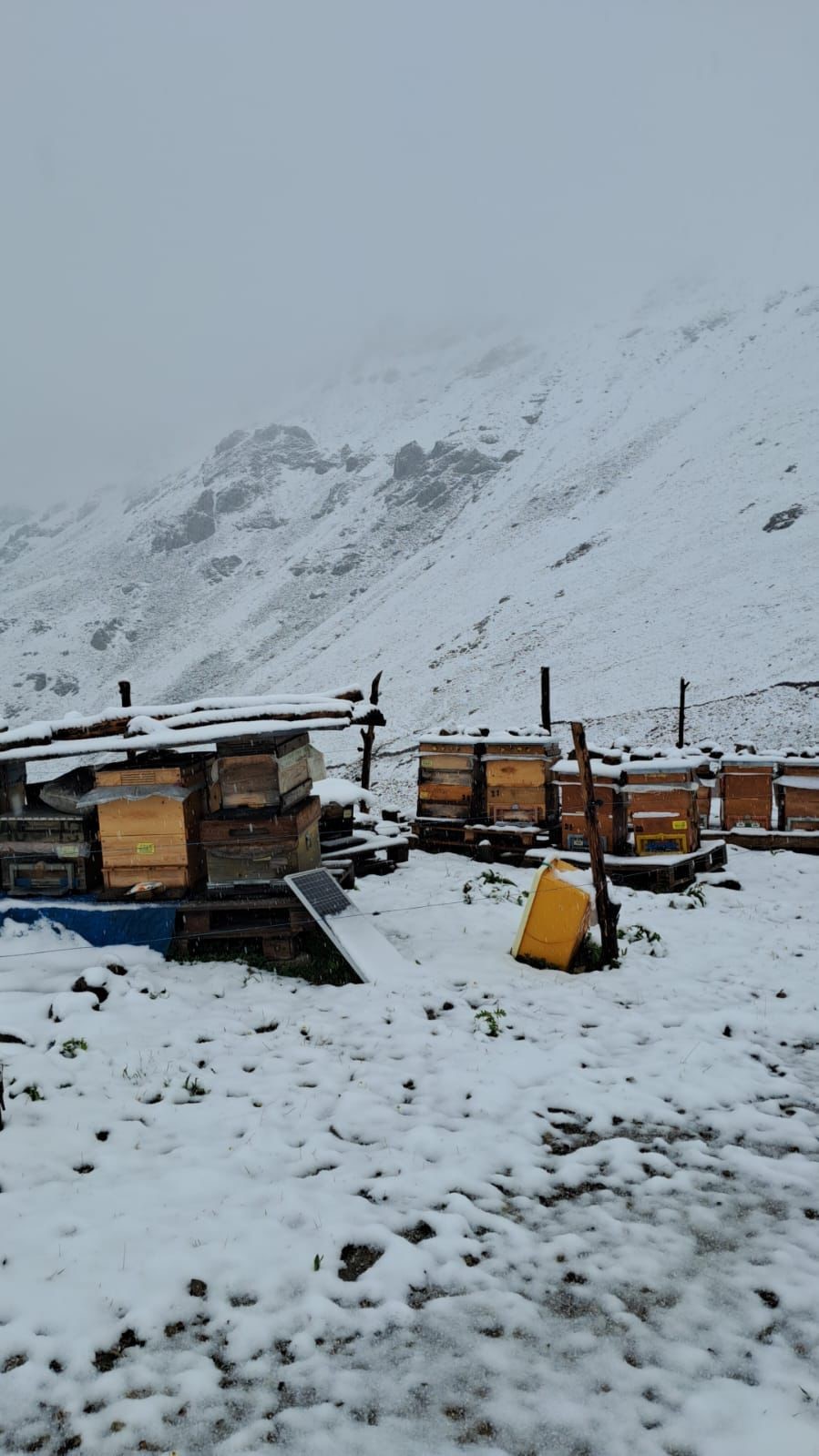 Rize’de Temmuz ayında kar sürprizi

