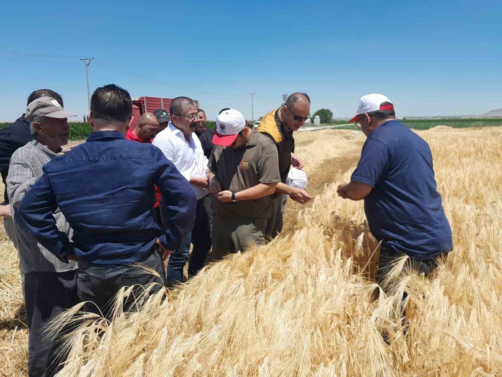 Karapınar’da hububat hasadı devam ediyor

