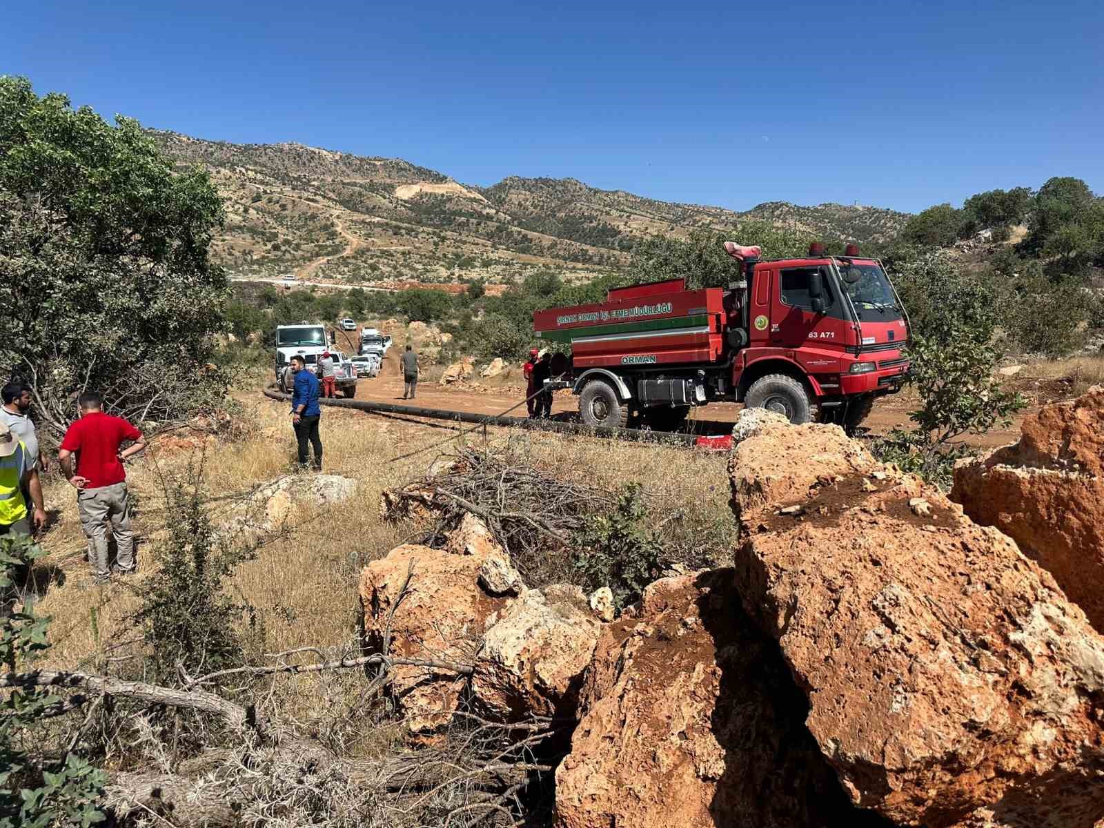Gabar Dağı’nda orman yangını