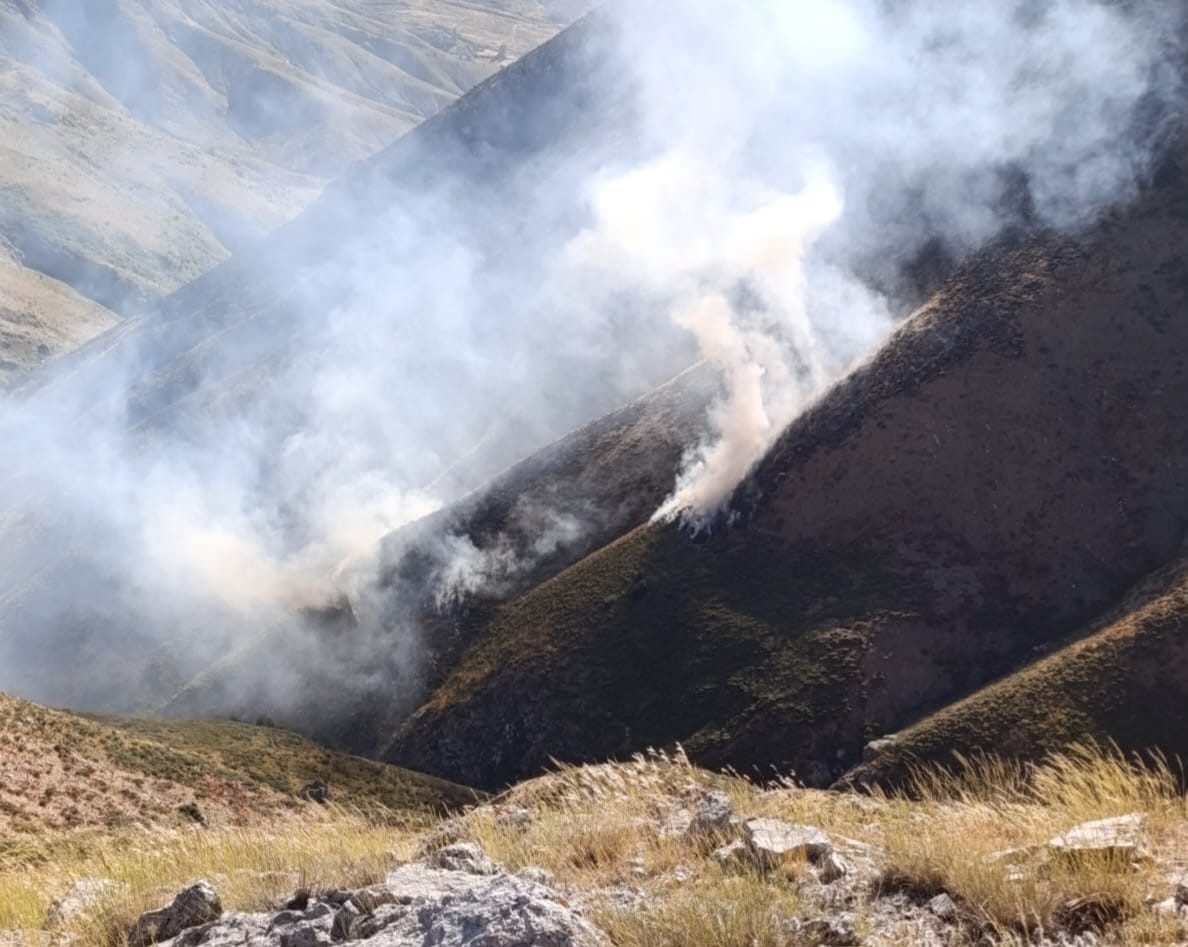 Teşikan yaylasında korkutan yangın