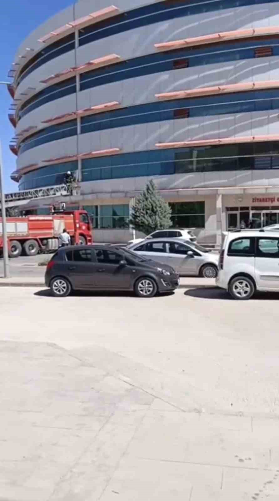 Mardin&rsquo;de hastanenin dış cephesinde mahsur kalan kedi kurtarıldı
