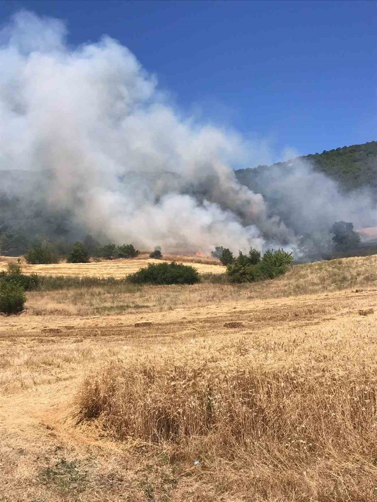 Yenişehir’de buğday tarlasında çıkan yangın ormana sıçradı