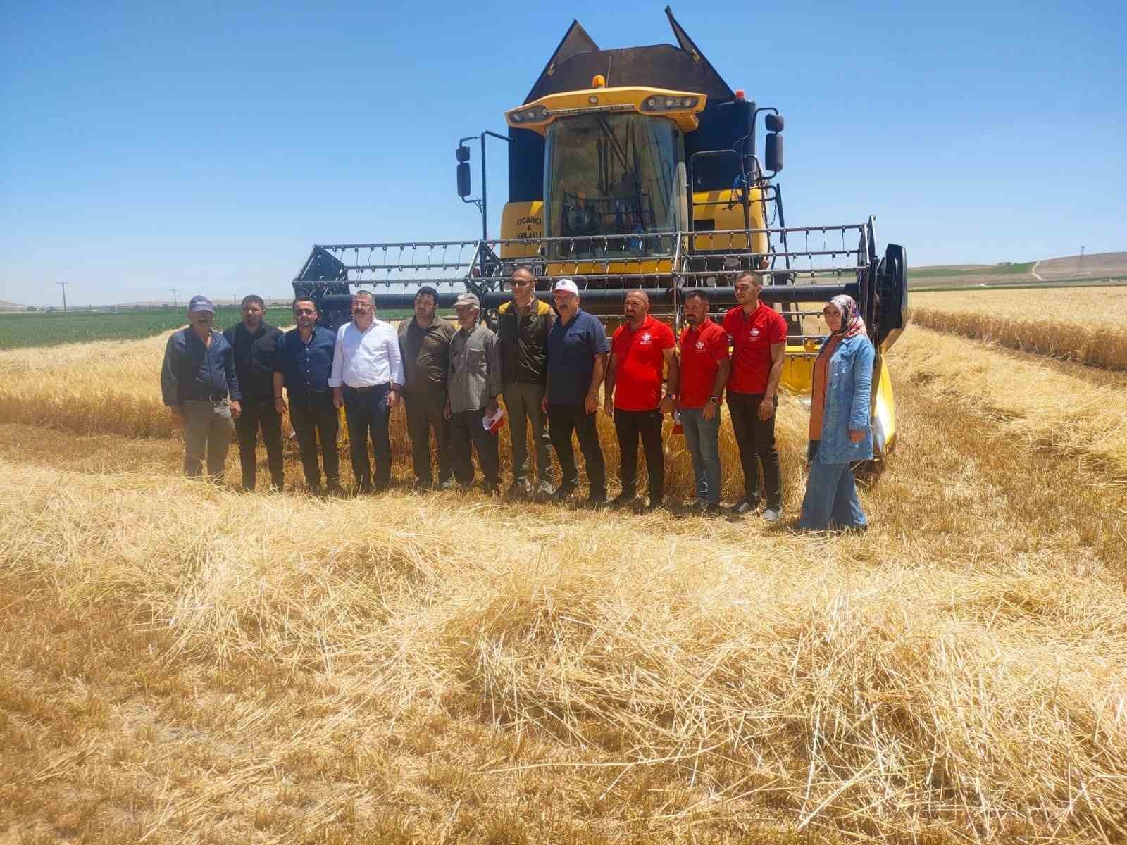 Karapınar’da hububat hasadı devam ediyor