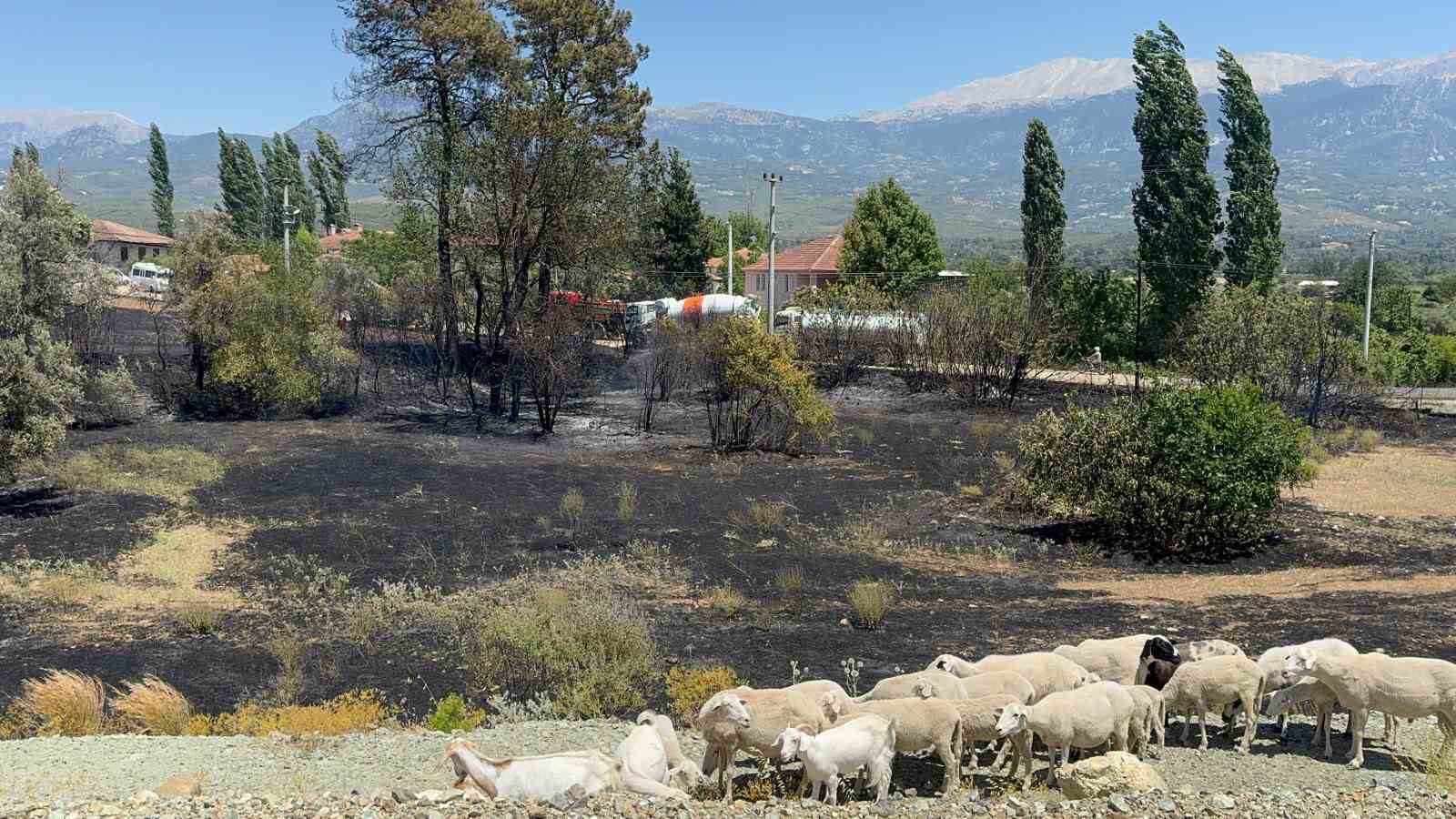 Bariyer yapımı sırasında &ccedil;ıkan kıvılcımlar yangına neden oldu
