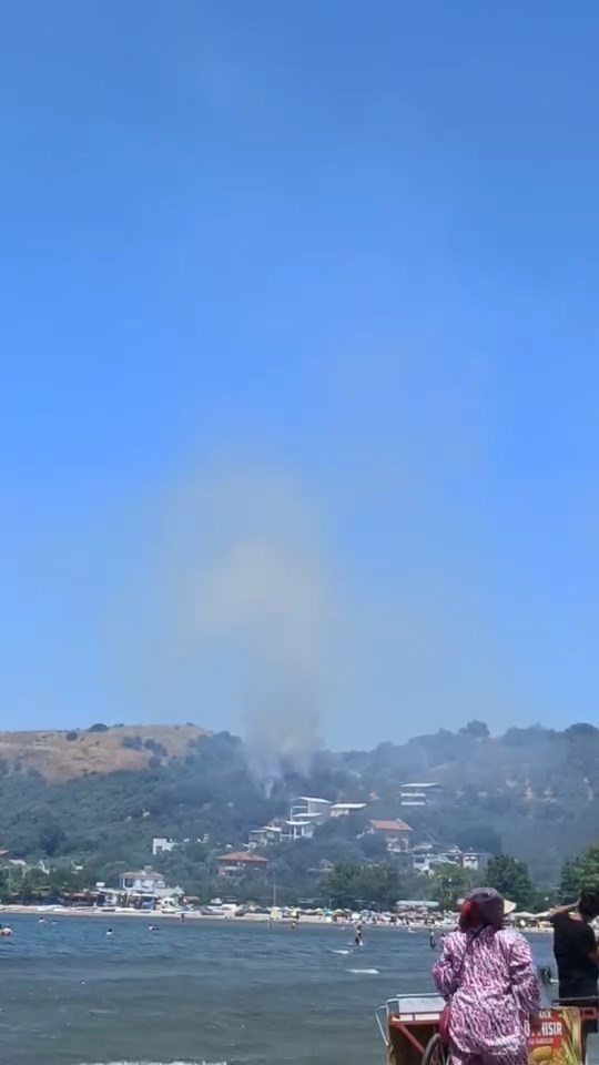 Alevler sahilden g&ouml;r&uuml;ld&uuml;
