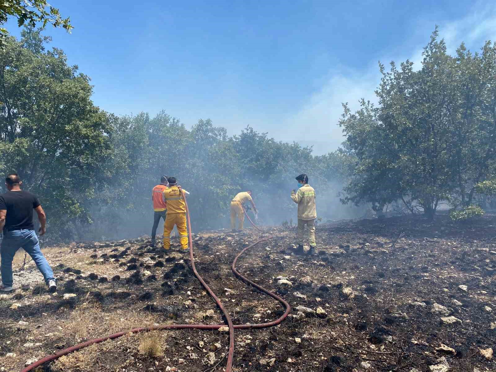 Seyitgazi’deki orman yangını kontrol altına alındı