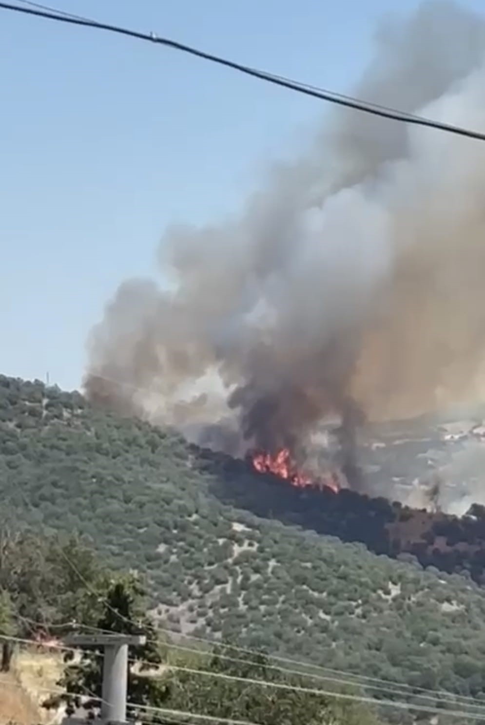 Balıkesir’de orman yangını