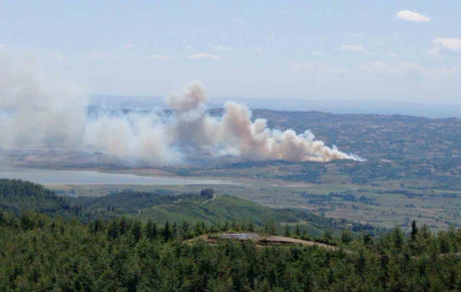 Kahramanmaraş’ta orman yangını