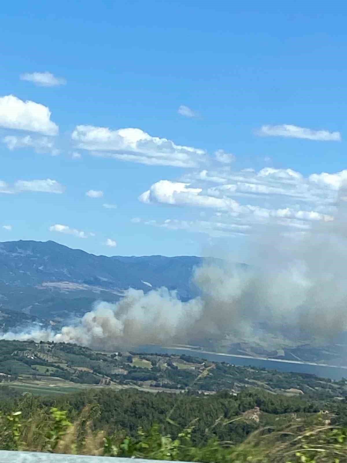 Kahramanmaraş&rsquo;ta orman yangını
