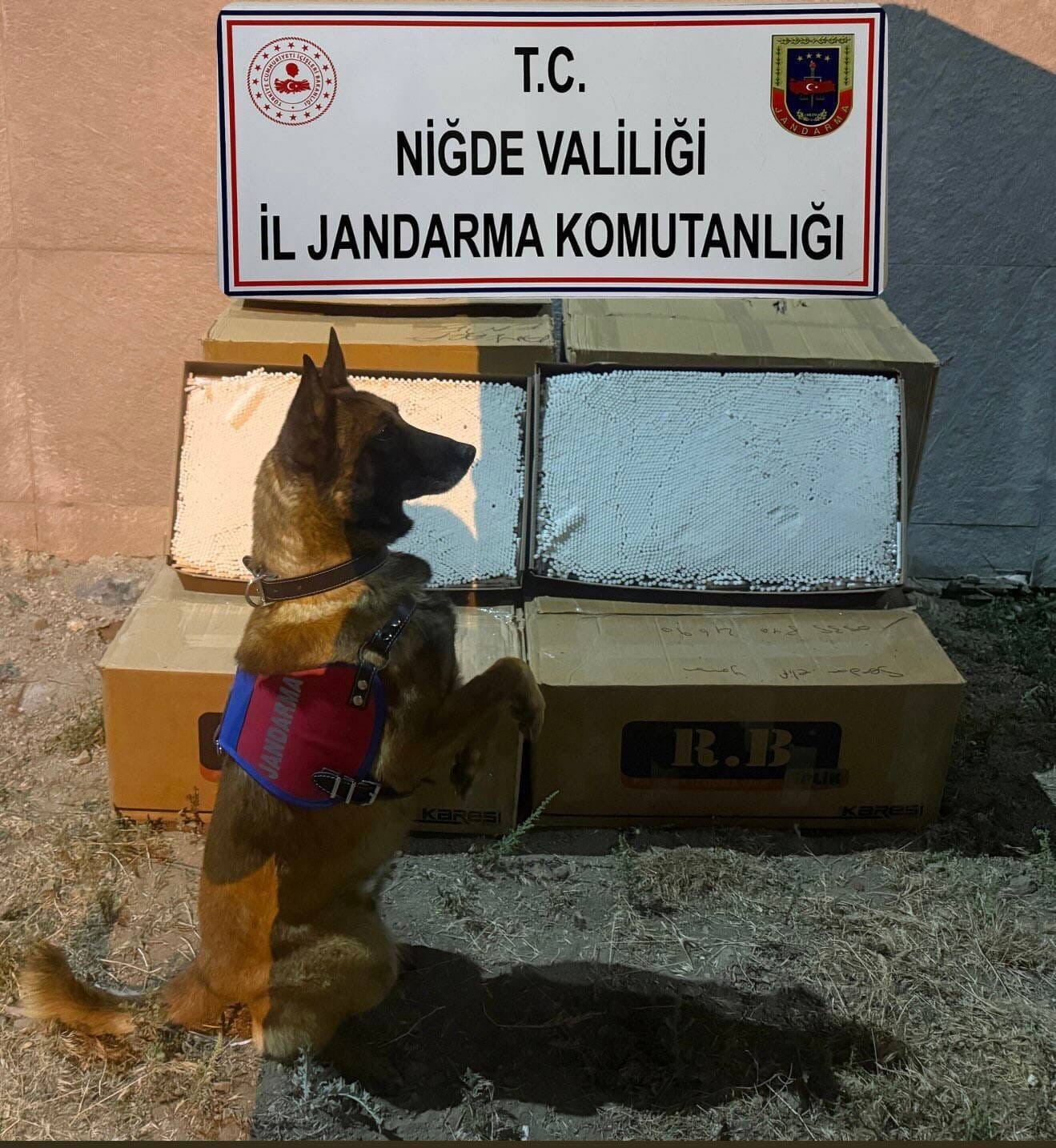 Yolcu otobüsünde 100 bin adet kaçak makaron ele geçirildi