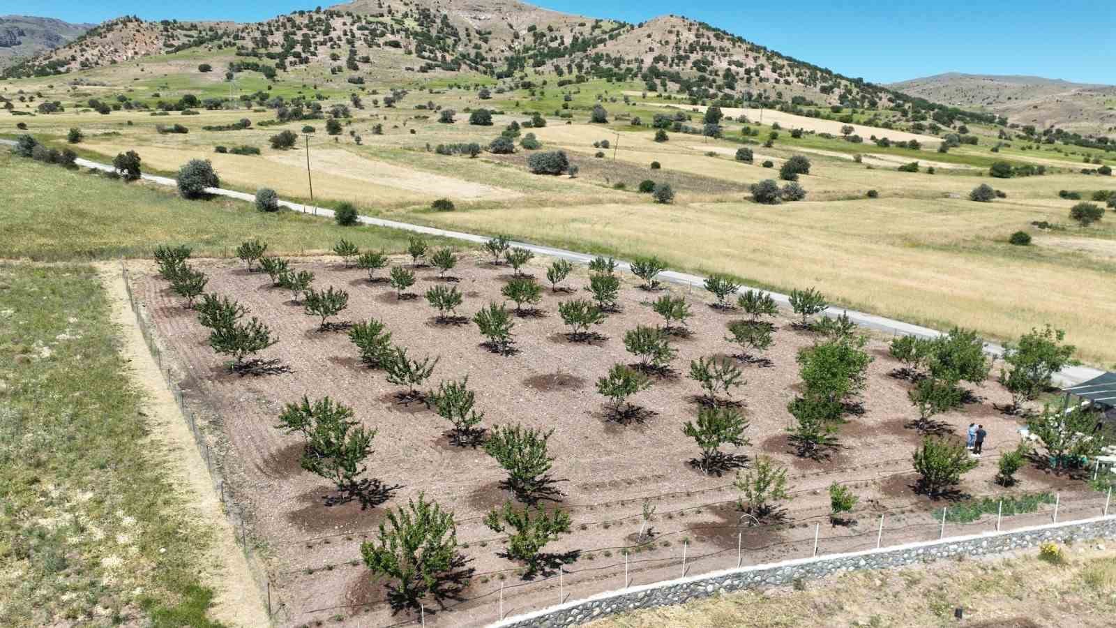 Büyükşehir Belediyesi’nden çiftçilere büyük destek