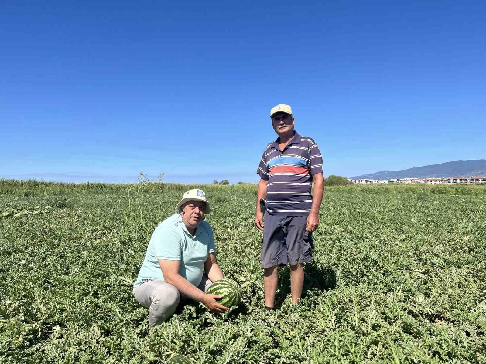 Edremit’te kabağa aşılı karpuzlar rağbet görmedi