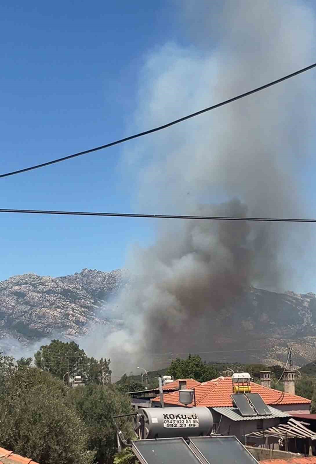 Milas Pınarcık&rsquo;ta makilik ve zeytinlik alan yangını
